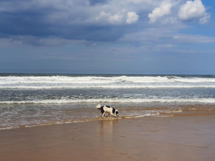 Sandstone Cottage Marske-by-the-Sea Buitenkant foto